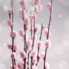 willowswhimsy